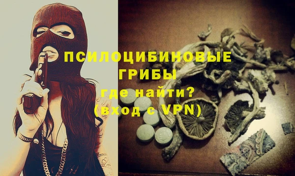 твердый Кулебаки