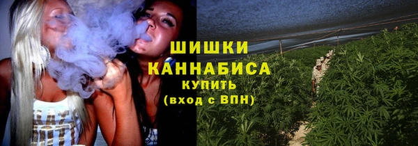 мдпв Лагань