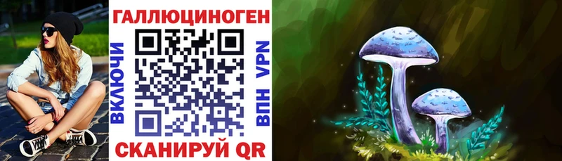 Купить где Константиновск Галлюциногенные грибы Psilocybine cubensis